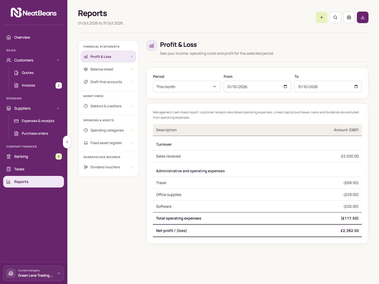 Full NeatBeans Reports screen with example records